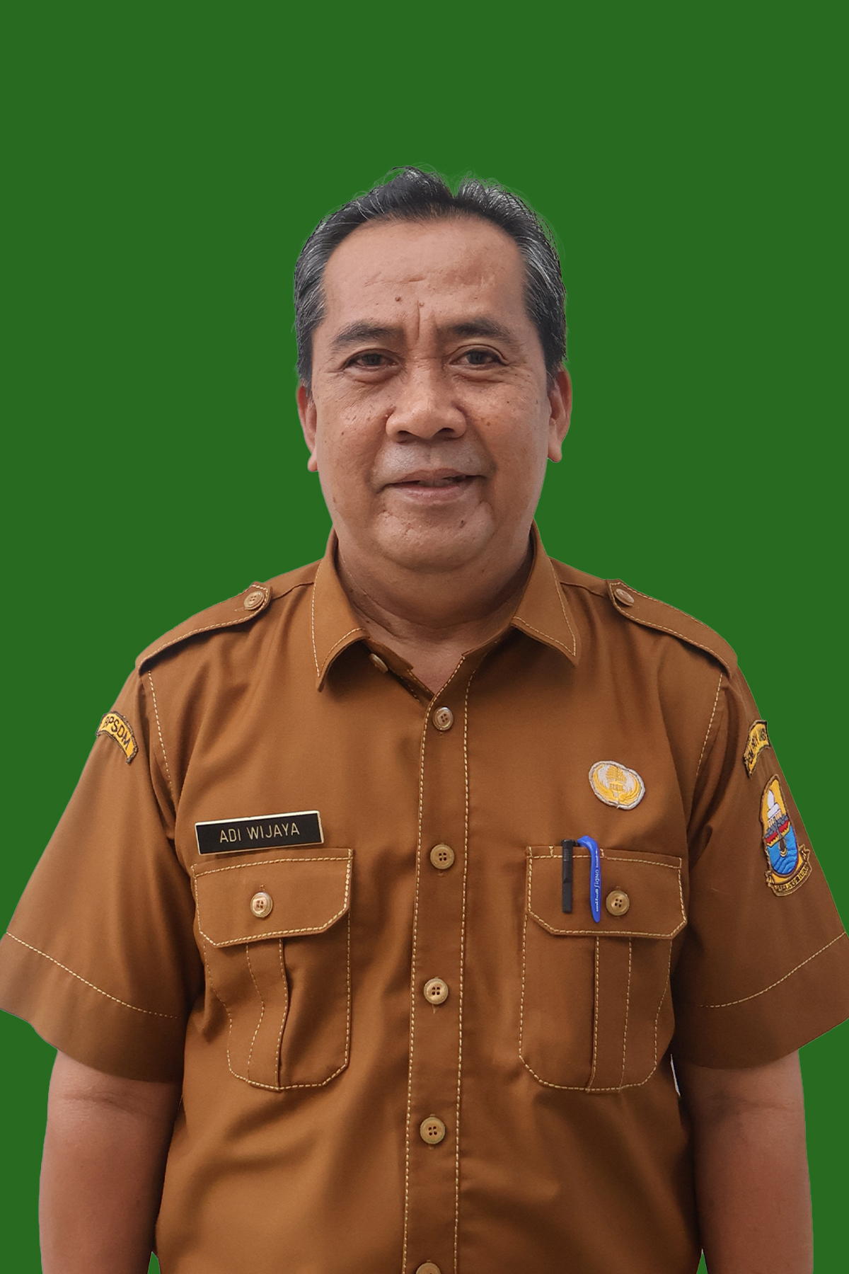 Adi Wijaya, S.E